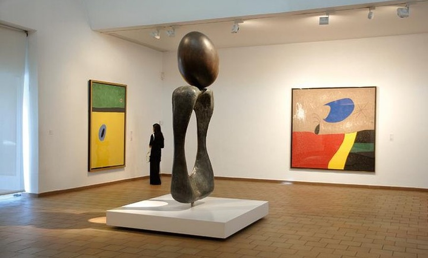Image 8: Pase para museos