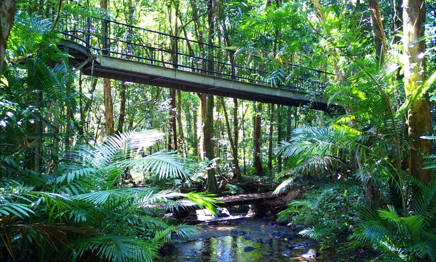 Image 1: Cape Tribulation, Mossman Gorge, and Daintree Rainforest Day Trip