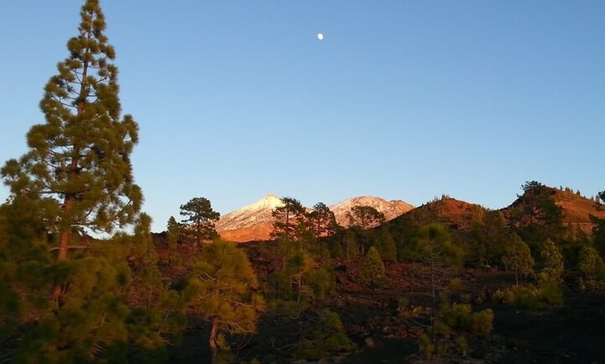 Image 11: Viajes en el tiempo entre los volcanes Trevejo y Chinyero en Tenerife