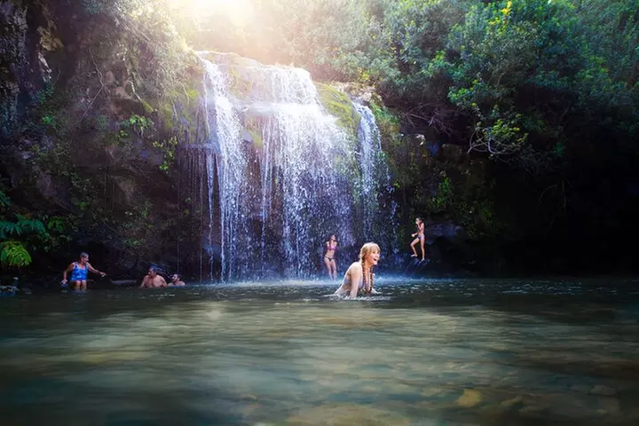 Big Island Kohala Zip and Dip Tour from Kona