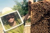 Experience Our Honey Farm And Beekeeping Tour