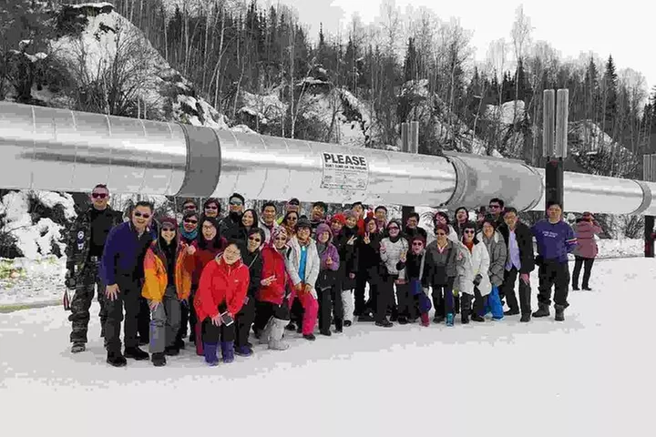 Arctic Circle and Northern Lights Tour from Fairbanks