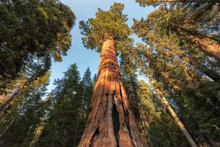 Yosemite National Park Self Guided Driving Audio Tour Guide
