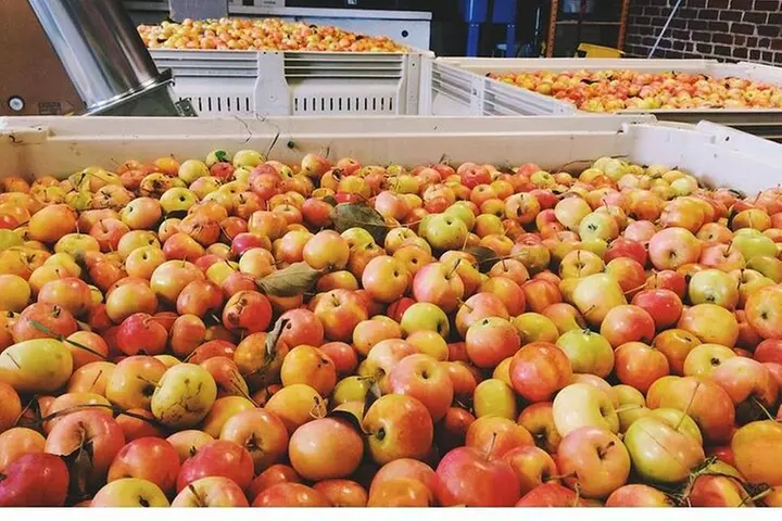 Blue Bee Cider 1-Hour Tour and Tasting - Second Medium