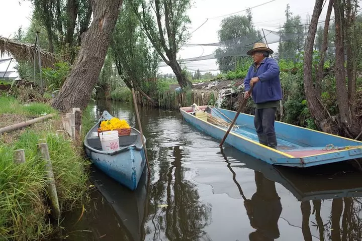 The City Green Exploring the Urban Eco Reserve of Xochimilco - Primary Image