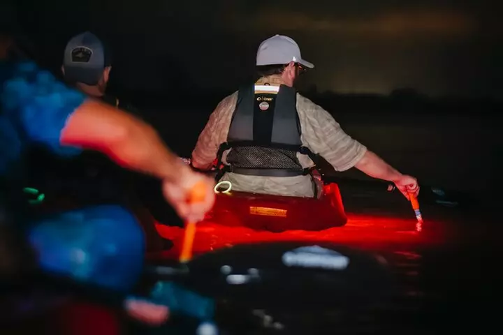 LED Bio Comb Jelly Clear Bottom Kayak or Paddleboard Tour!