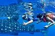 Swim with Whale Shark from Cancun - Second Medium