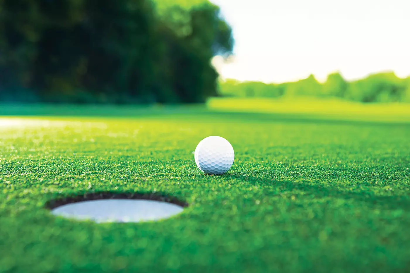 $18 For A 9-Hole Round Of Golf With Cart For 2 (Reg. $36) - Primary Image