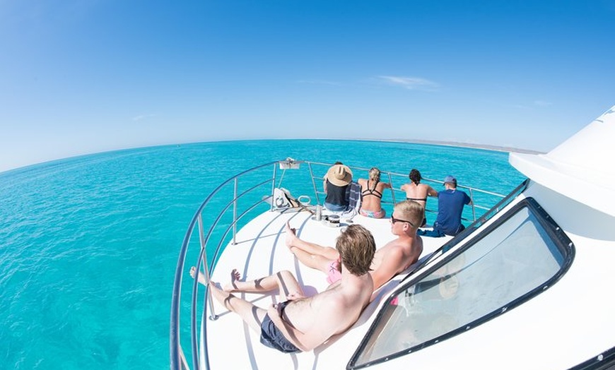 Image 22: Swim with Whale Sharks in the Ningaloo Reef: 3 Island Shark Dive