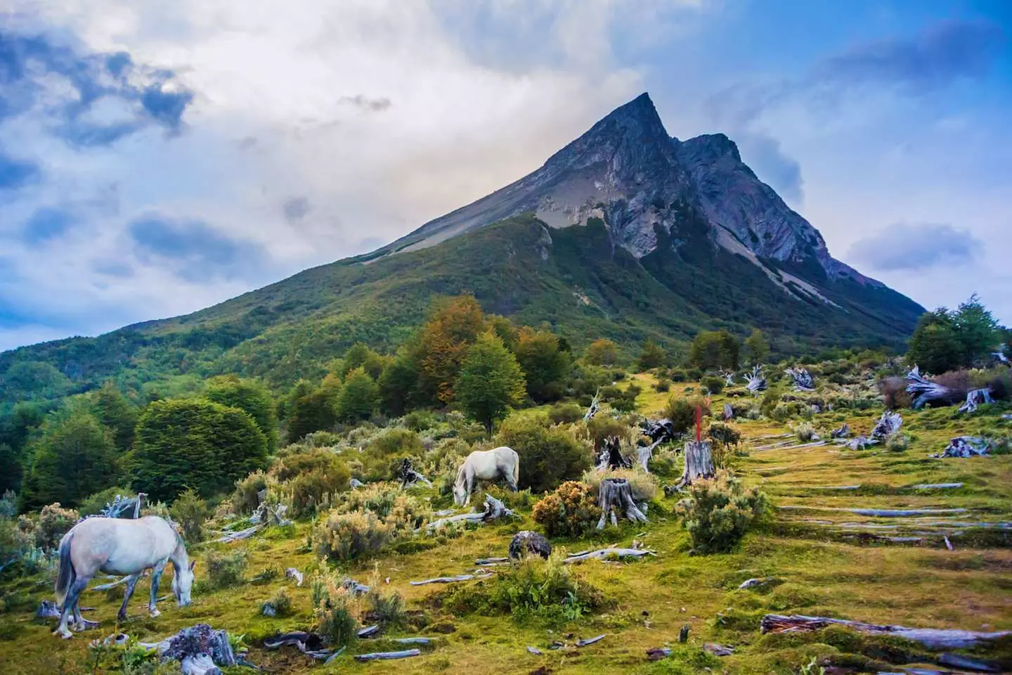 ✈ ARGENTINIEN | Buenos Aires - Pauschalreise Buenos Aires & Ushuaia...