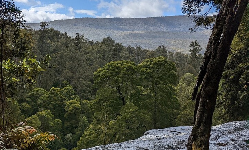 Image 11: Hobart: 7hr Shore Excursion: Mt. Field, Russell Falls & Wildlife