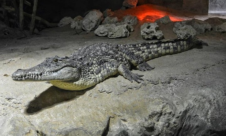 Image 12: Entrada al acuario de Zaragoza