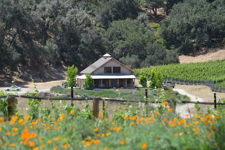 Santa Barbara Wine Tour Experience - Authentic and Boutique - Second Medium