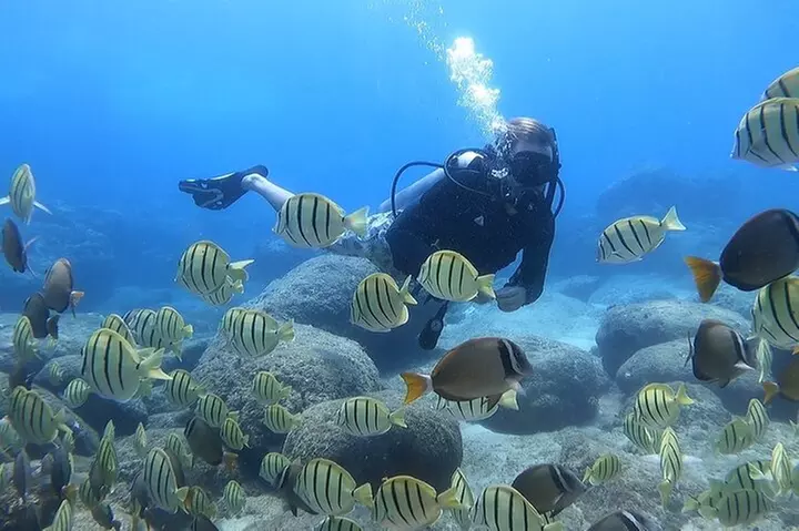 Beginner Scuba Experience with Video Package in Honolulu - Primary Image