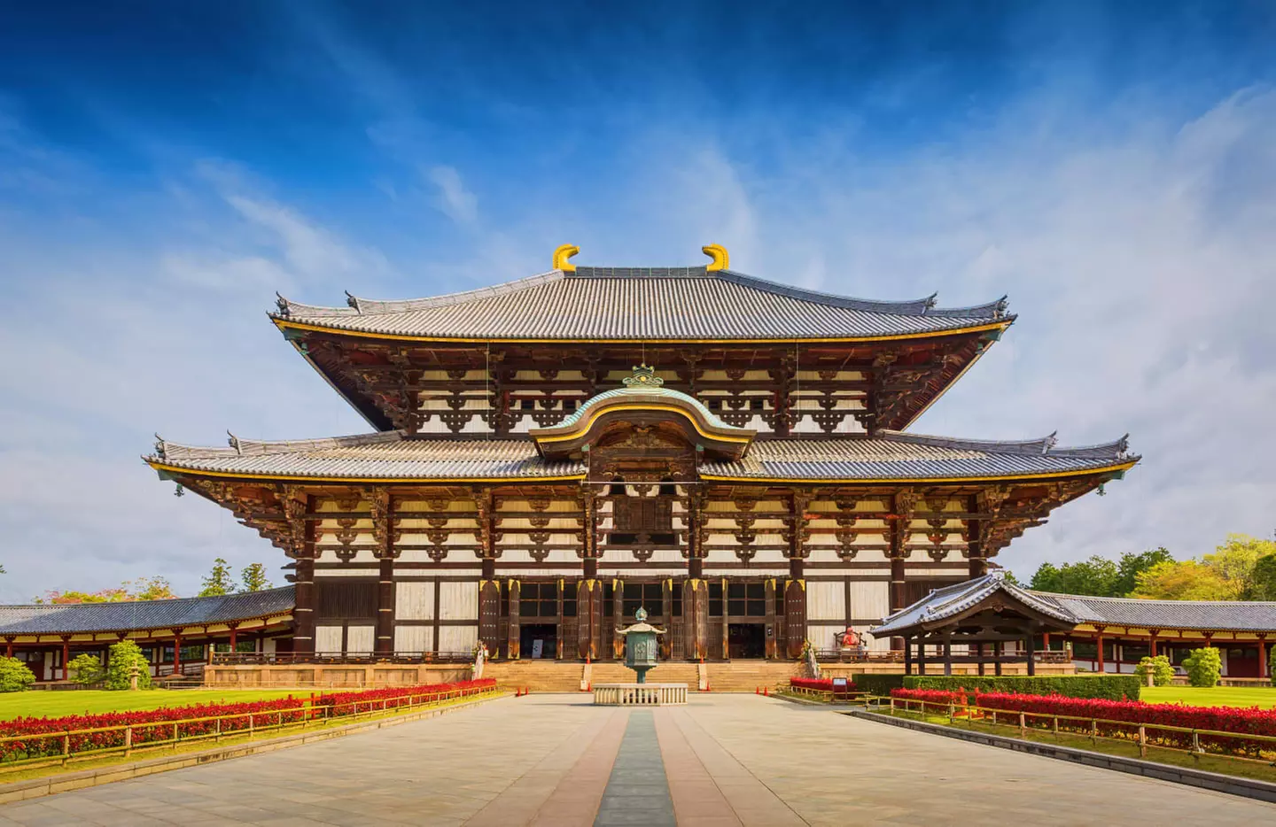 ✈ GIAPPONE | Da Tokyo a Osaka - Il meglio del Giappone e delle sorg...