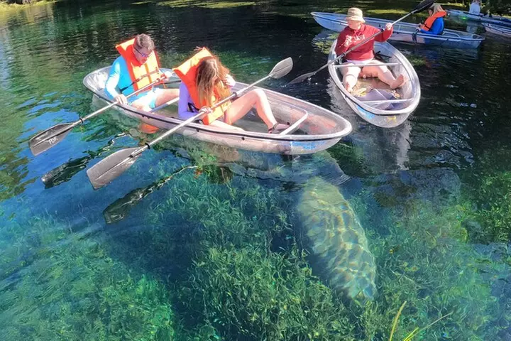 Clear Kayak Manatee Ecotour of Crystal River