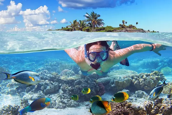 Nassau: Private Island & Snorkeling, Turtles, Drinks & BBQ - Primary Image