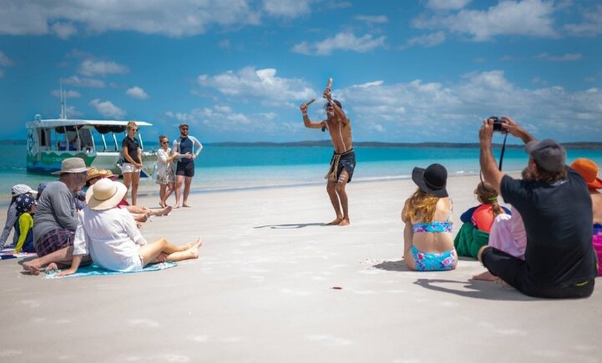 Image 3: Turtle Discovery & Great Sandy Marine Park Adventure