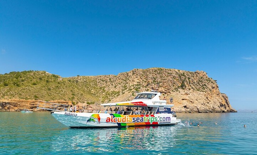 Image 9: Dolphin Adventure : Avistamiento de Delfines en Barco Rápido en Mal...