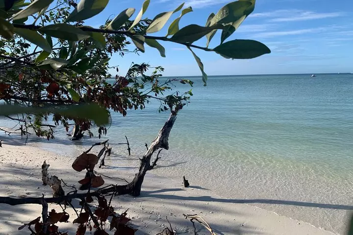 Clear Kayak Guided Eco Tour in North Naples