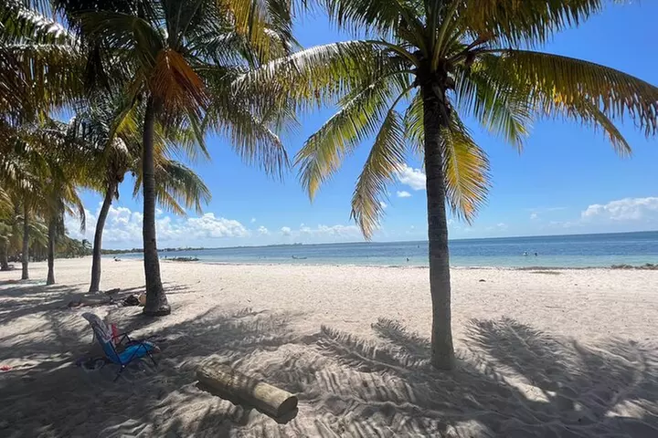 Guided Snorkel Experience, Free Videos in West Palm Beach