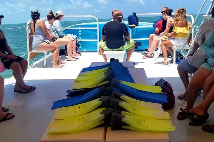 Islamorada: Snorkeling from the Islander Hotel - Primary Image