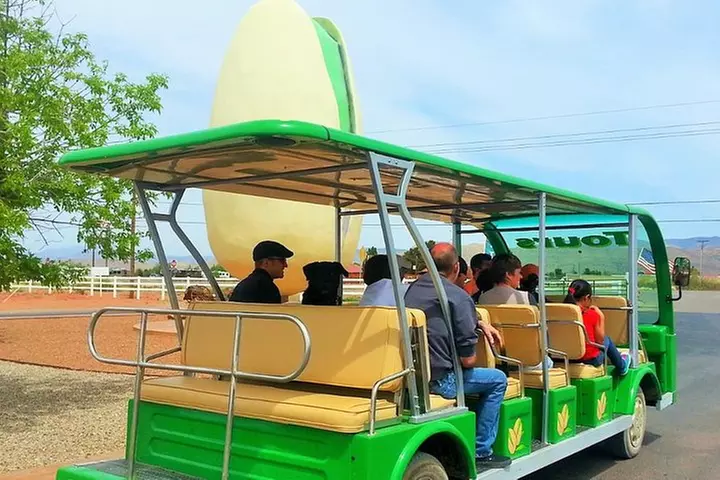 PistachioLand Farm Tour