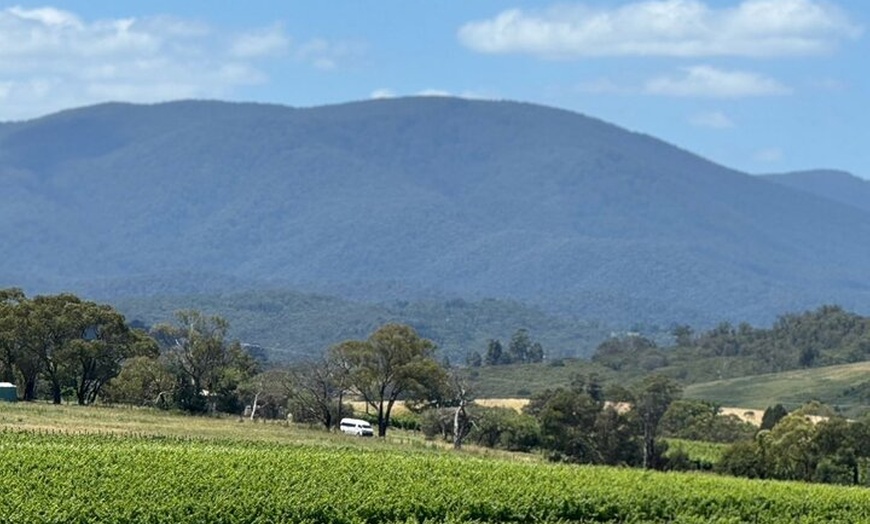 Image 21: Private Yarra Valley Winery & Healesville Sanctuary Tours