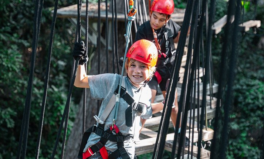 Image 14: Sunshine Coast Adventure Park TreeTop Challenge
