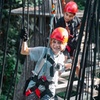 Image 14: Sunshine Coast Adventure Park TreeTop Challenge