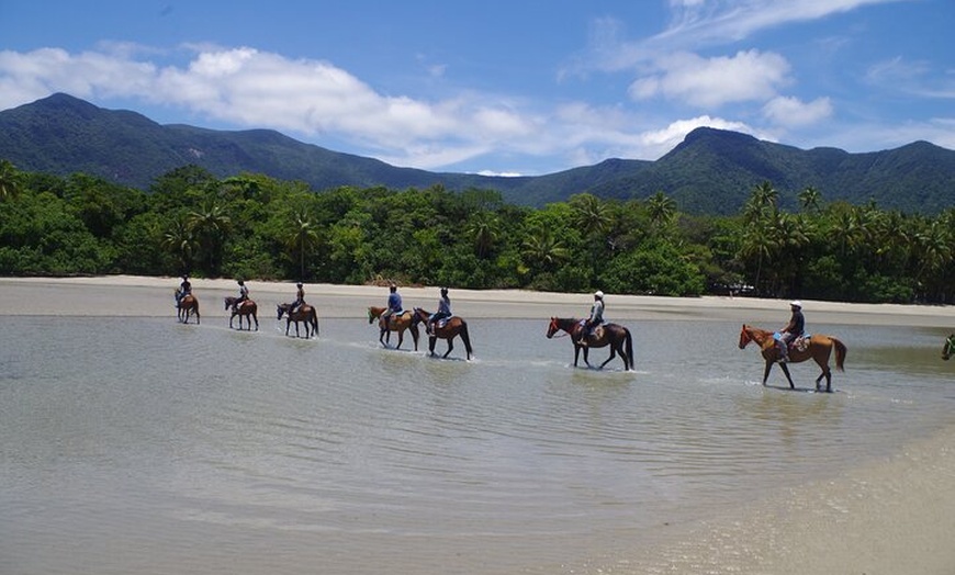 Image 7: Mid-Morning Beach Horse Ride in Cape Tribulation