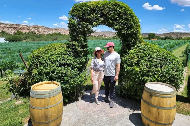 Voted Best in Sedona-Tastings Included! EXPRESS PRIVATE WINE TOUR