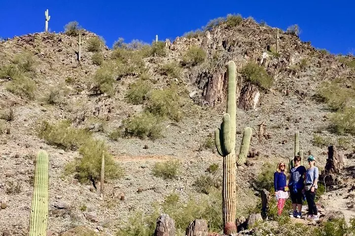 Amazing 2-Hour Guided Hiking Adventure in Phoenix, Arizona