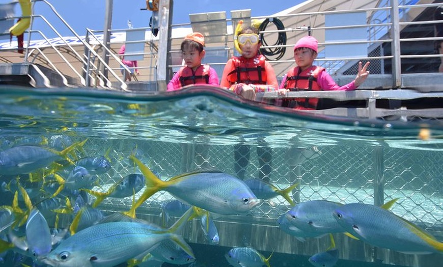 Image 11: Sunlover Reef Cruises Cairns Great Barrier Reef Experience