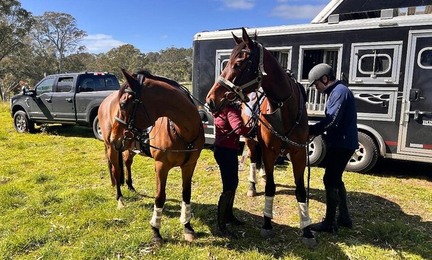 Image 6: Horse Trail Ride and Wine Tasting at Adelaide Hills Winery