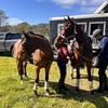 Image 6: Horse Trail Ride and Wine Tasting at Adelaide Hills Winery