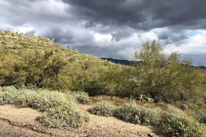 Trail Riding for the individual or group. Best Trail Rides anywhere in Arizona. - Primary Image