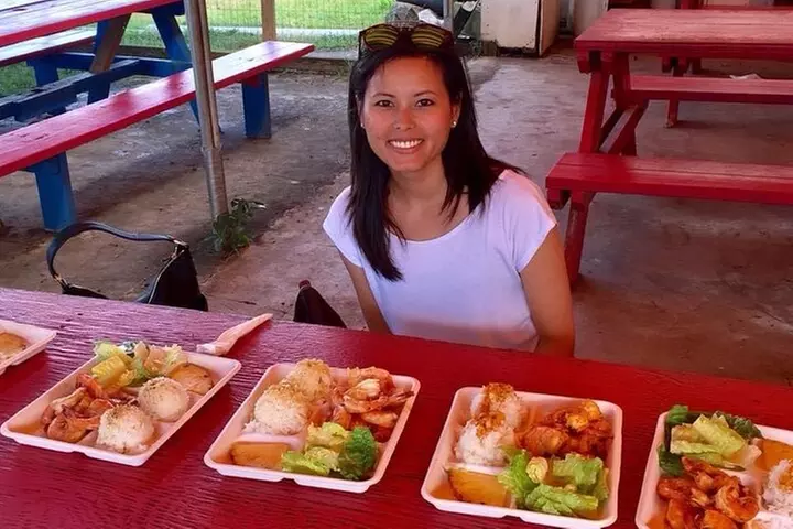 Next Level Oahu Circle Island Tour Snorkel w/Turtles and Byodo-In