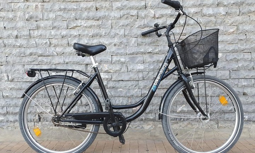 Image 7: Alquiler de bicicletas en Málaga