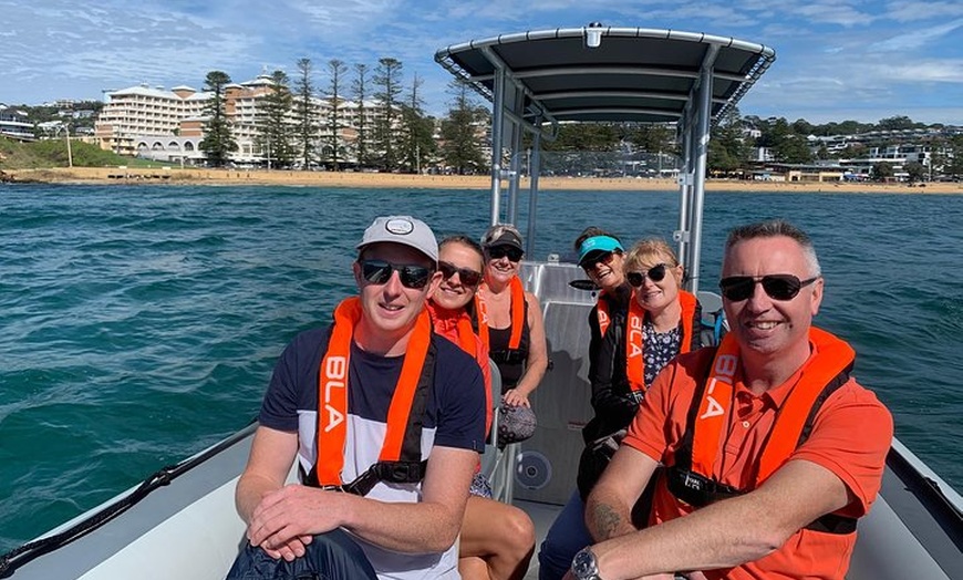 Image 8: Whale Watching Terrigal