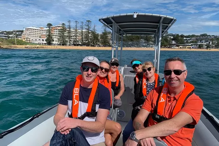 Whale Watching Terrigal