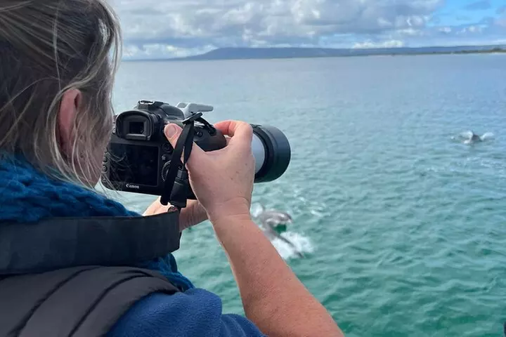 1.5hour Scenic and Wildlife luxury cruise