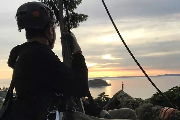 Sunset Canopy Climb on Lopez Island - Primary Image