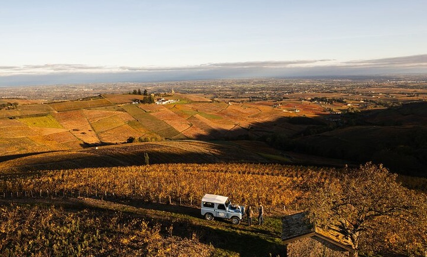Image 11: Excursion privée d'une journée de vin d'hiver dans le Beaujolais et...