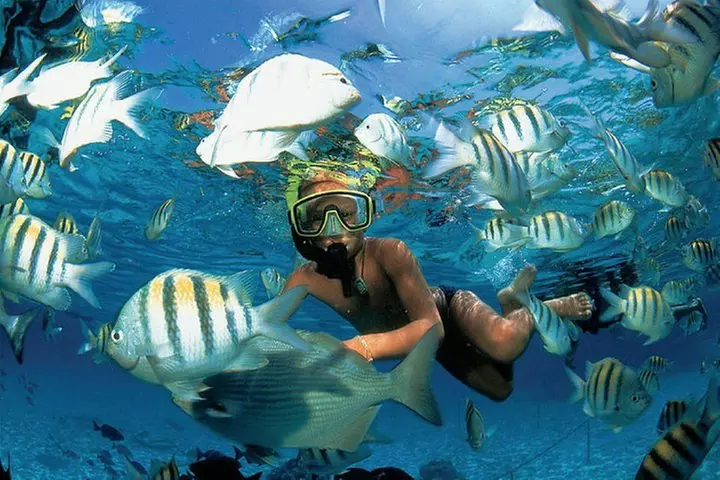 Top Sailing to Isla Mujeres with lunch and open bar from Cancun