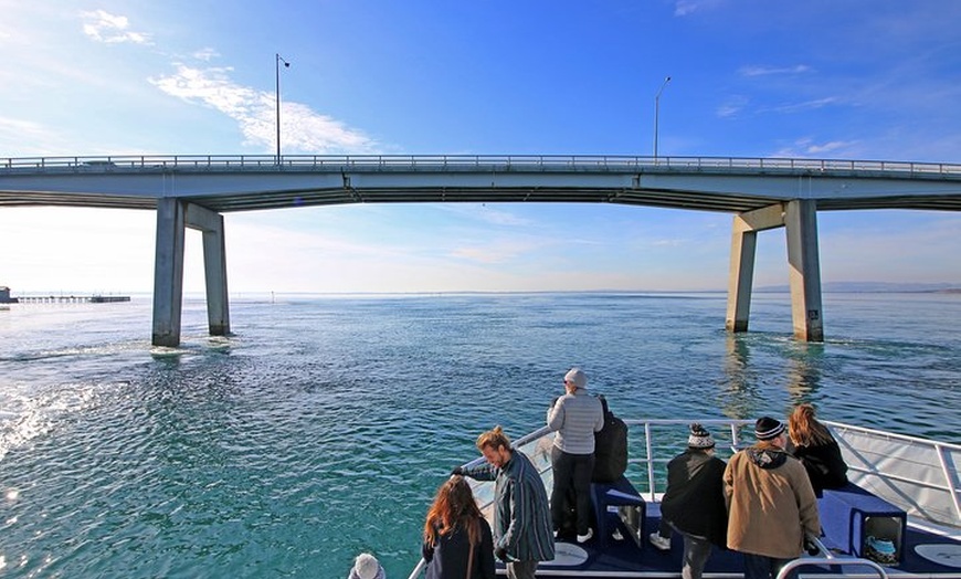 Image 4: Cape Woolamai Sightseeing Cruise from San Remo