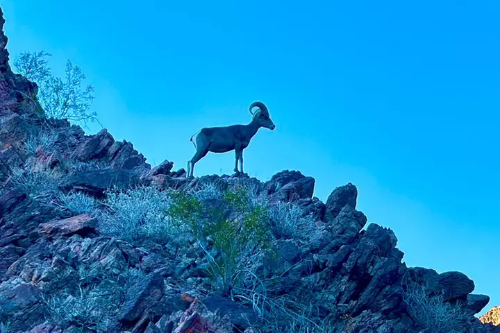 Emerald Cave Kayaking Tour from Las Vegas, Best Dam 1/2 Day Trip