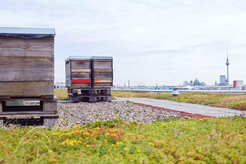 ✈ DEUTSCHLAND | Berlin - Scandic Berlin Potsdamer Platz 4*, 2 Nächte