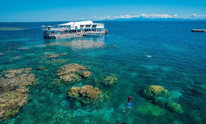 Image 2: Snorkel & Dive the Reef: Sustainable, Scientific & Cultural Tour