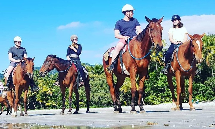 Image 1: Mid-Morning Beach Horse Ride in Cape Tribulation